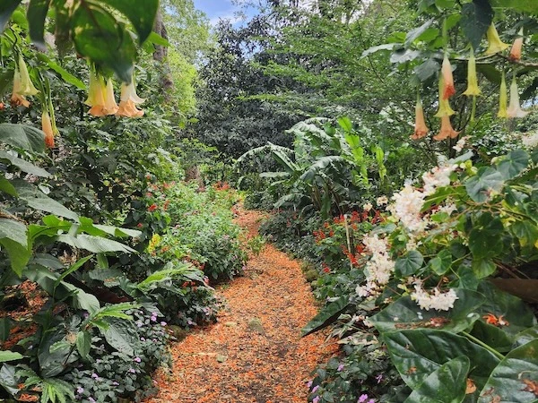 Gardens