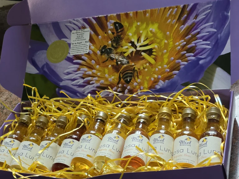 Mead Boquete-20250623_114715