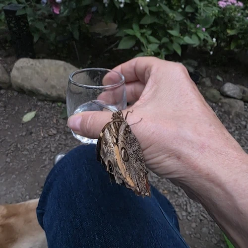 Mead-Tasting