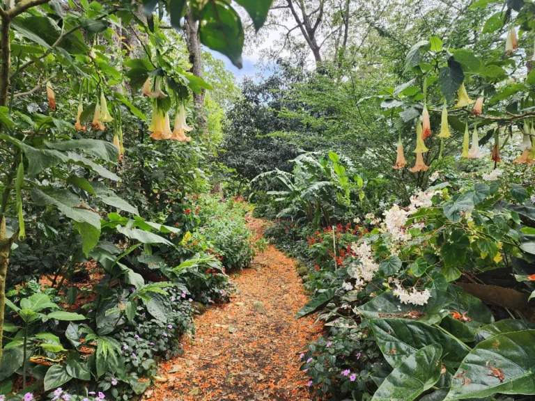 Nature-experience-20250126_114319