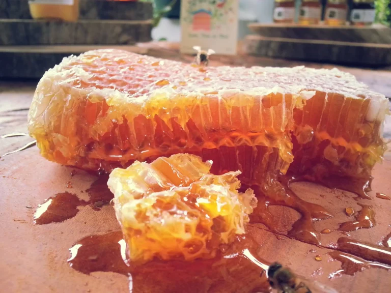 honey Comb