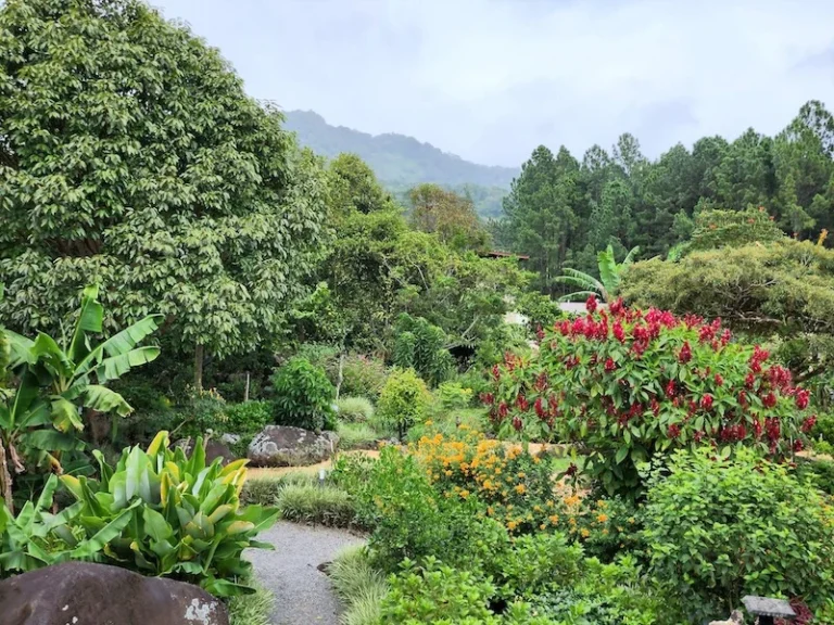 nature-sanctuary